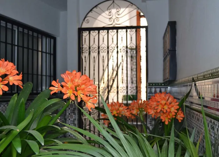 Nuevo Sueno Del Alcazar * Kordoba