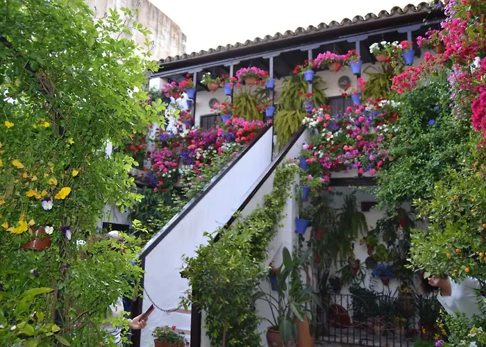 Nuevo Sueno Del Alcazar Apartament