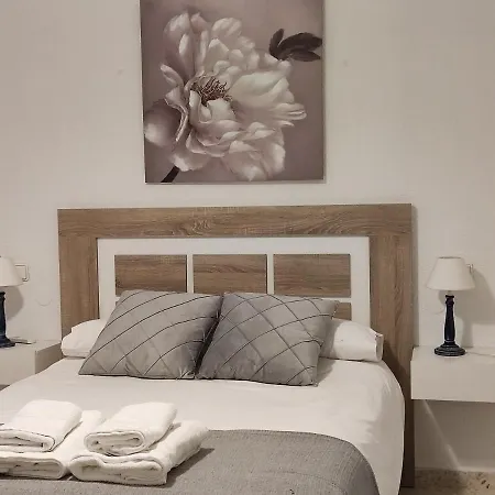 Nuevo Sueno Del Alcazar *