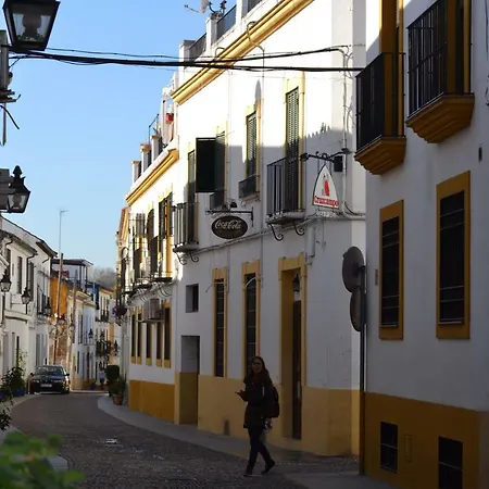 Nuevo Sueno Del Alcazar *