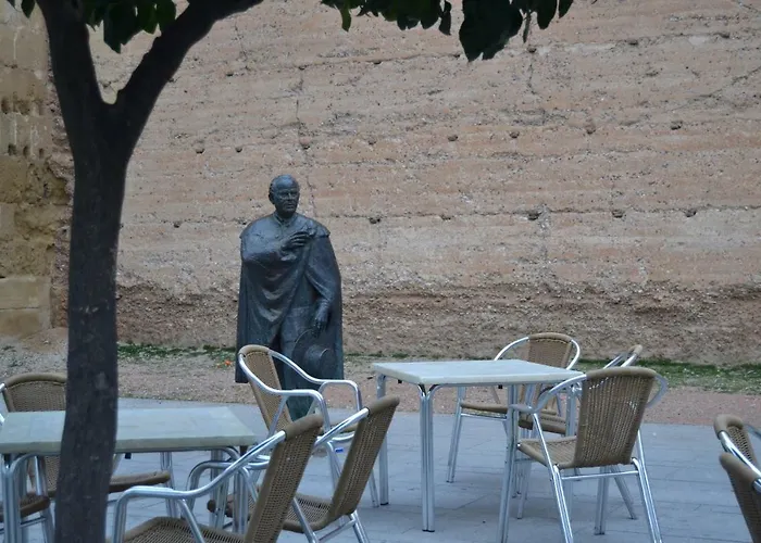 Nuevo Sueno Del Alcazar