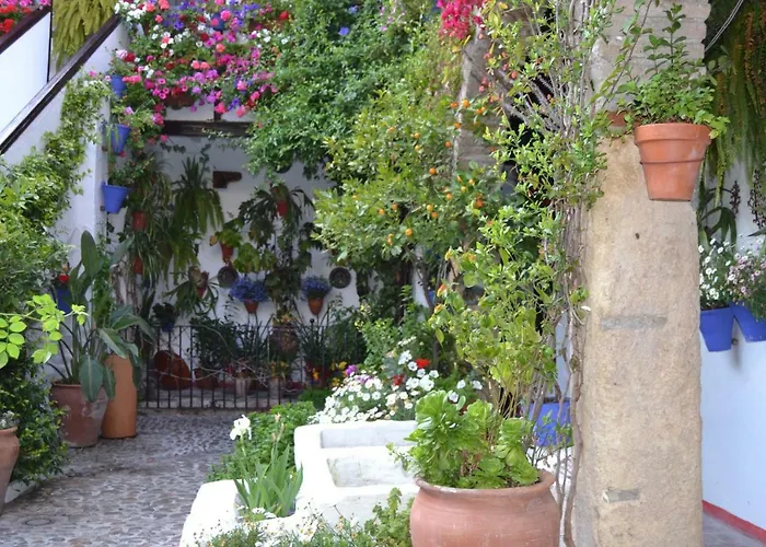 Апартаменты Nuevo Sueno Del Alcazar