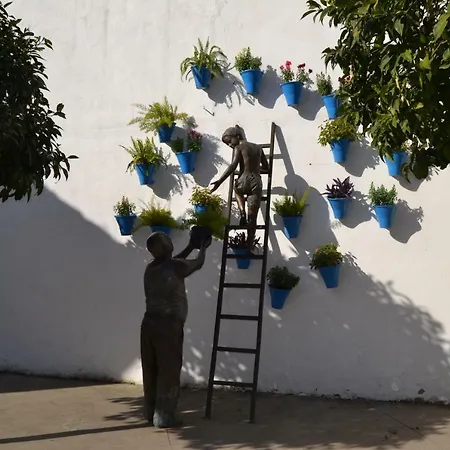 Nuevo Sueno Del Alcazar Apartment Córdoba