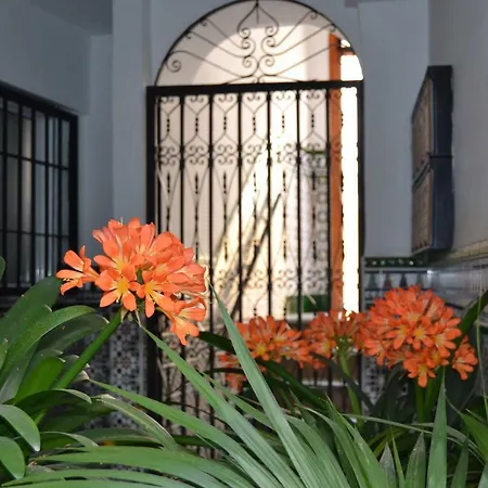 Nuevo Sueño Del Alcazar * Córdoba