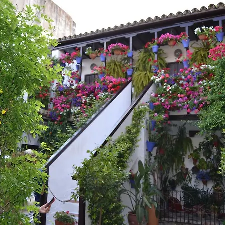 Nuevo Sueno Del Alcazar Apartment