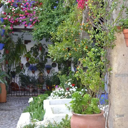 Apartamento Nuevo Sueño Del Alcazar